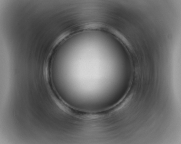 X0000113941034200910021258