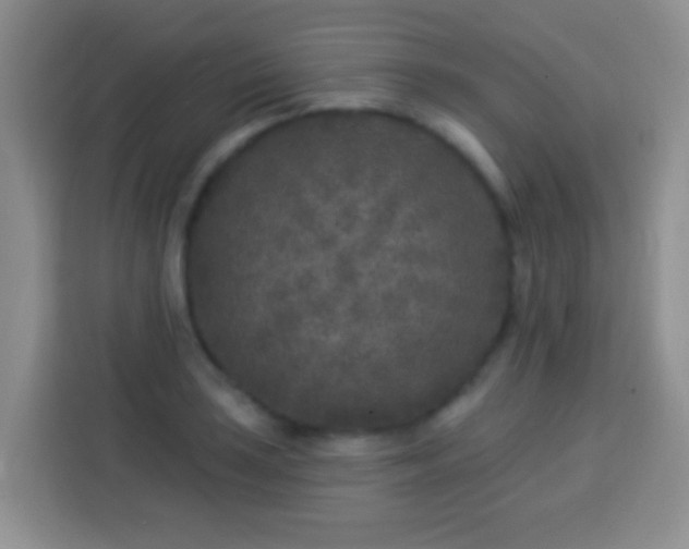 X0000113941035200910021258