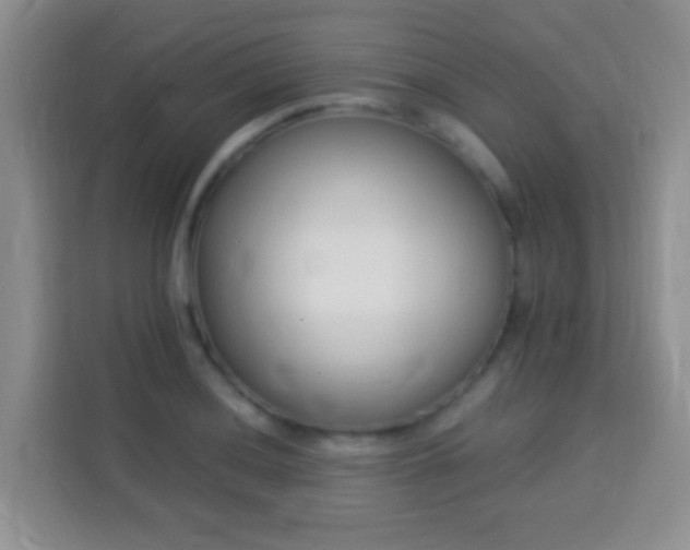 X0000113941036200910021258