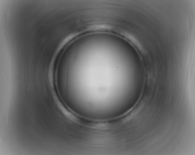 X0000113941038200910021258