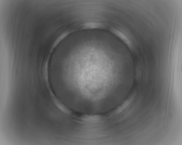 X0000113941039200910021258