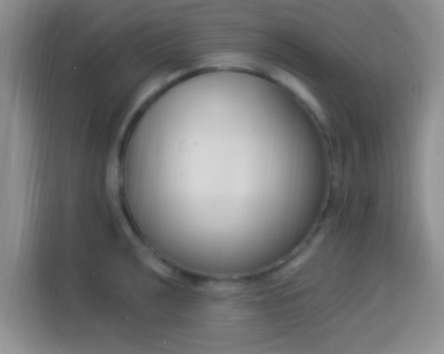 X0000113941040200910021258