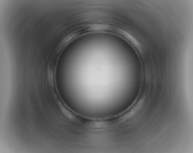 X0000113941041200910021258