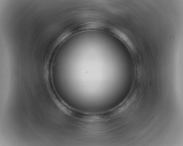 X0000113941042200910021258