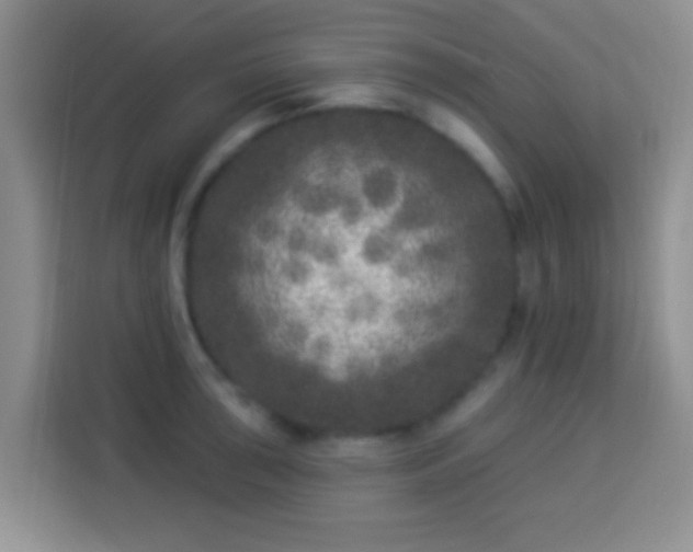 X0000113941043200910021258