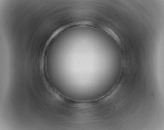 X0000113941044200910021258