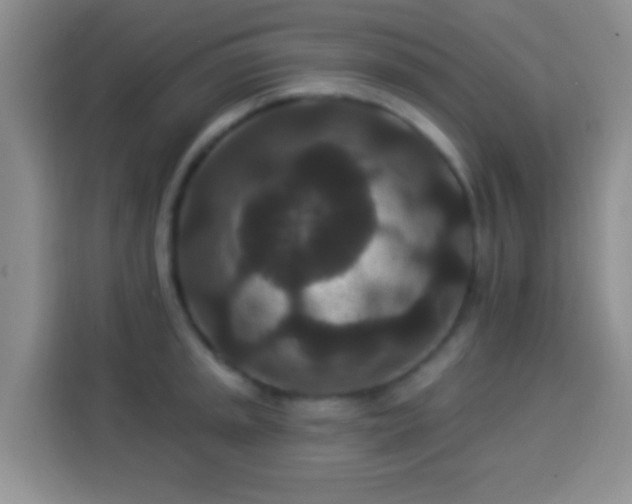 X0000113941045200910021258