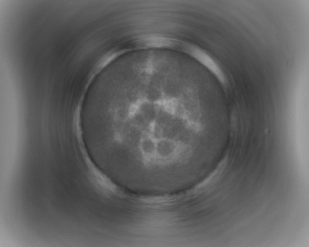 X0000113941047200910021258