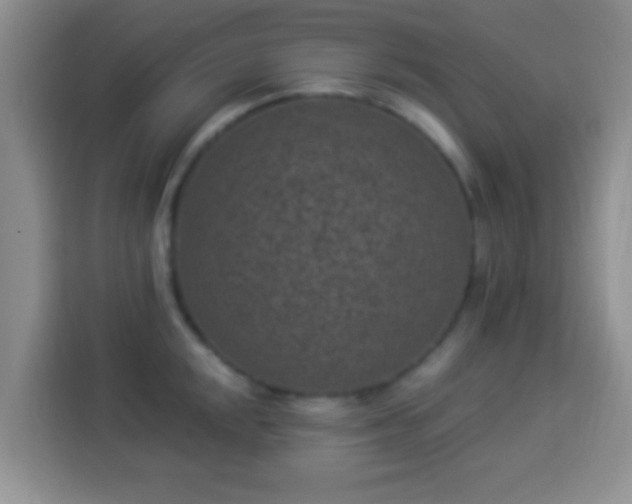 X0000113941048200910021258