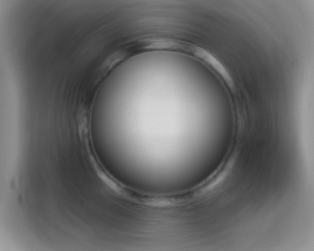 X0000113941049200910021258