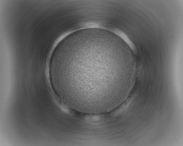 X0000113941051200910021258