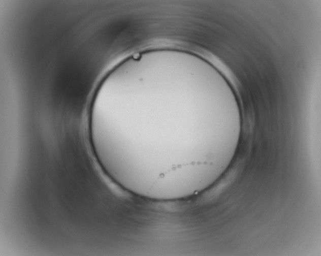 X0000113941053200910021258