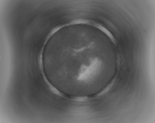 X0000113941055200910021258