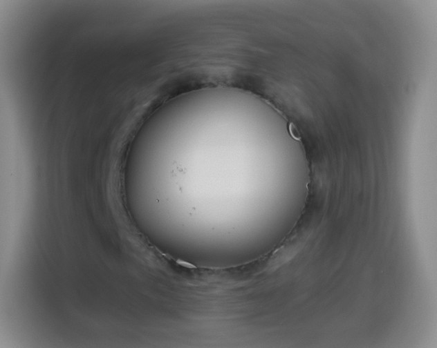 X0000113941057200910021258