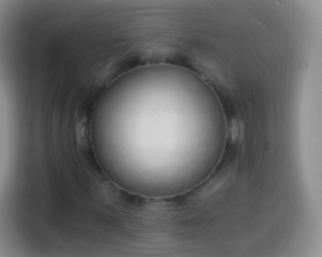 X0000113941059200910021258