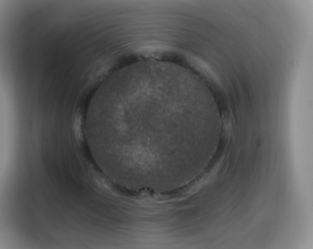 X0000113941060200910021258