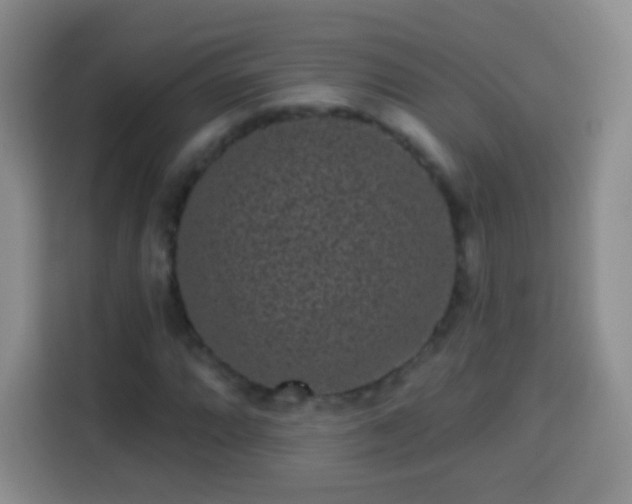 X0000113941064200910021258