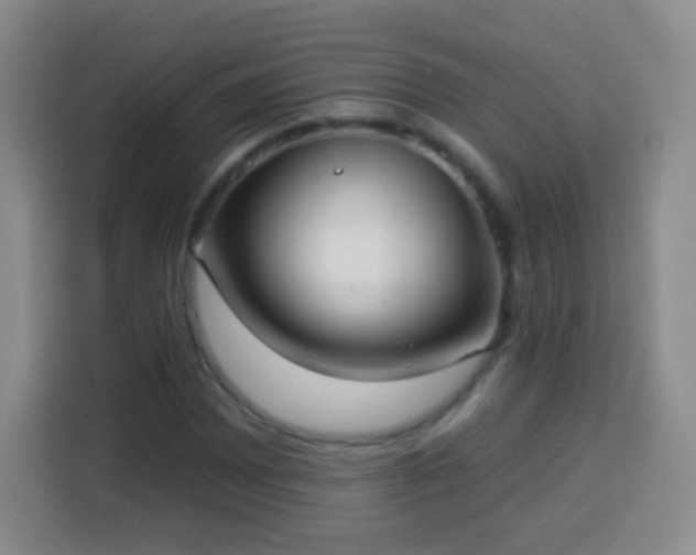 X0000113941065200910021258