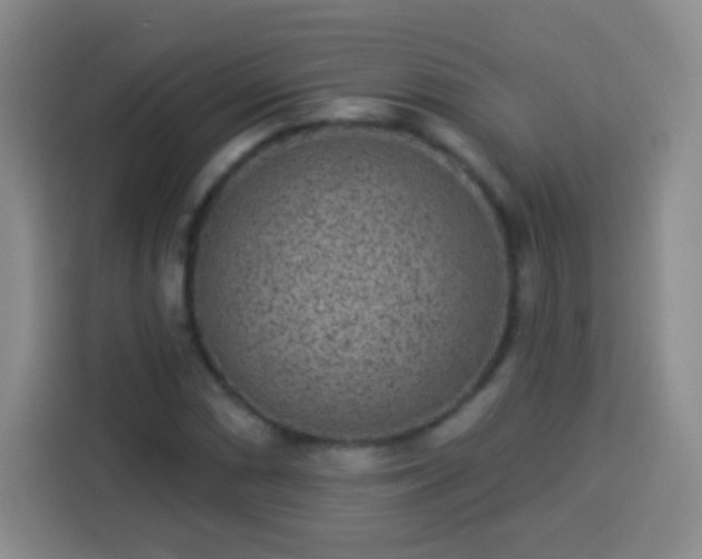 X0000113941066200910021258