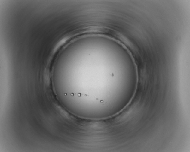 X0000113941067200910021258