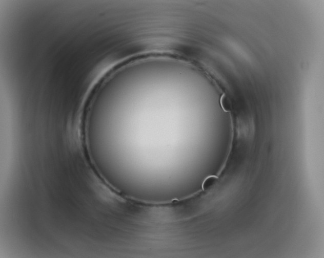 X0000113941068200910021258