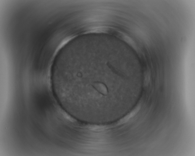 X0000113941071200910021258