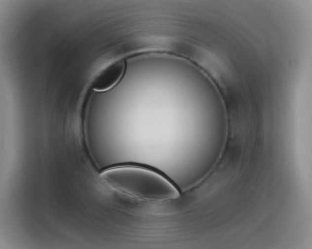 X0000113941072200910021258