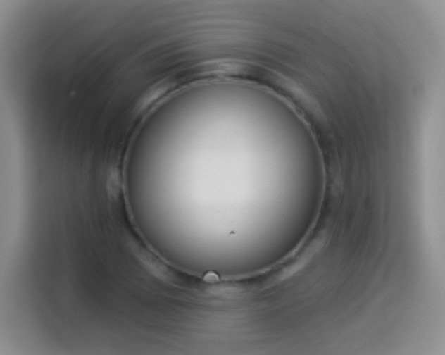 X0000113941073200910021258