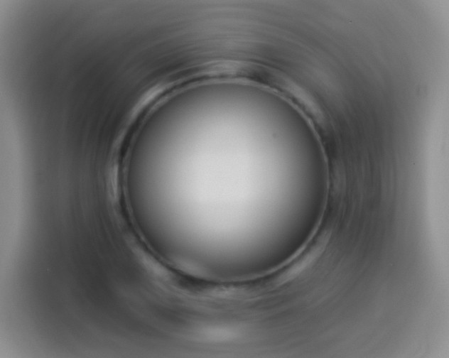 X0000113941075200910021258