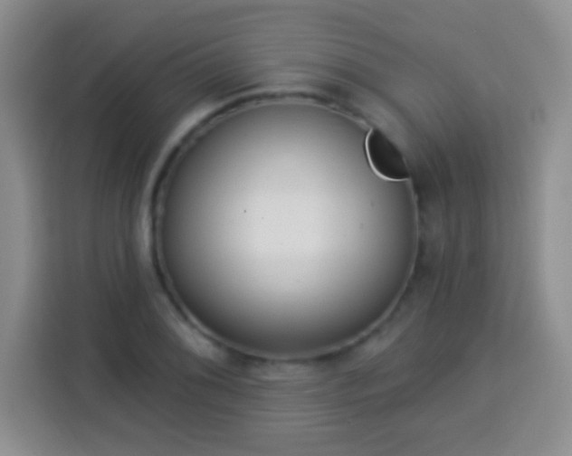 X0000113941076200910021258