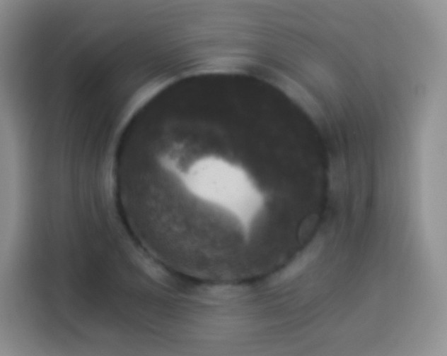 X0000113941077200910021258