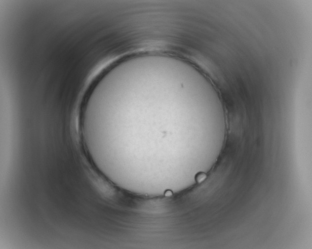 X0000113941078200910021258