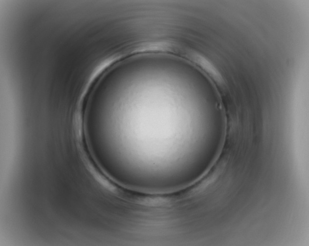 X0000113941079200910021258