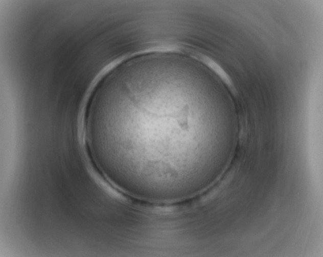 X0000113941080200910021258