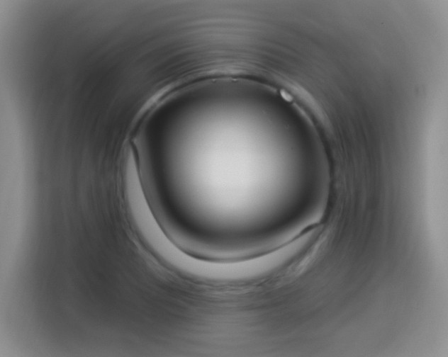 X0000113941081200910021258