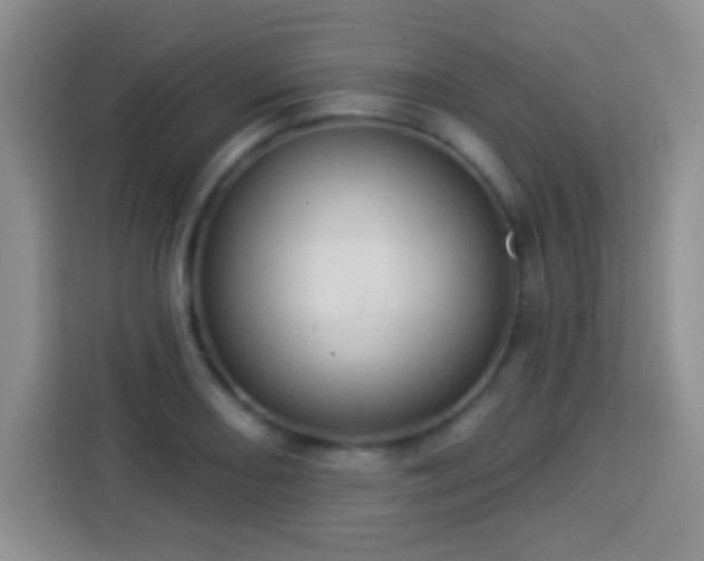 X0000113941082200910021258