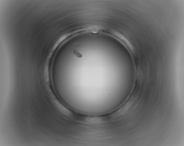 X0000113941083200910021258