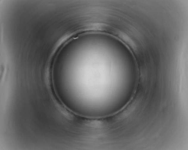 X0000113941085200910021257