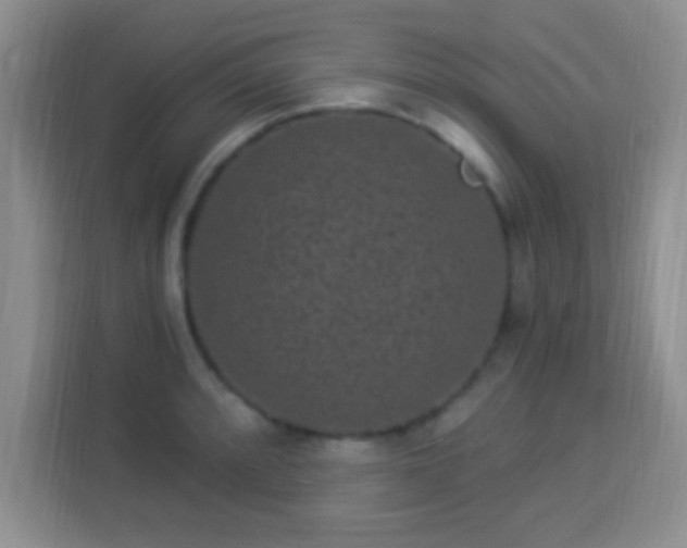 X0000113941088200910021257