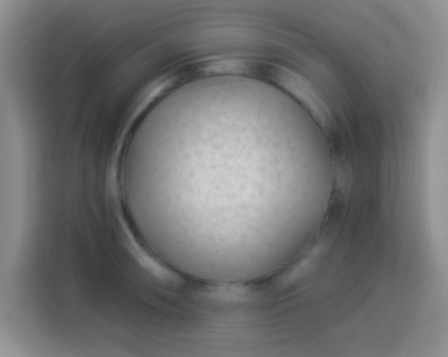 X0000113941090200910021257