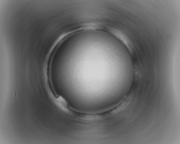 X0000113941091200910021257