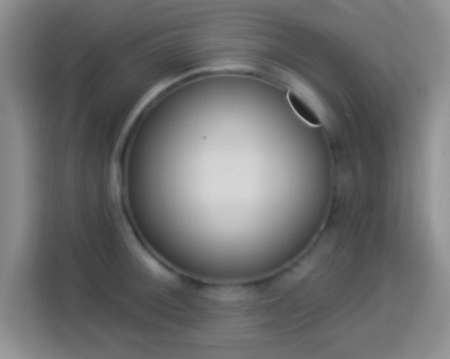 X0000113941092200910021257