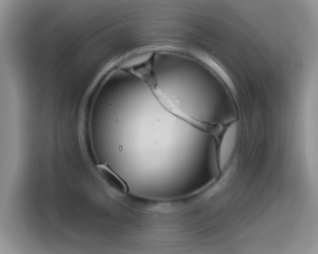 X0000113941093200910021257