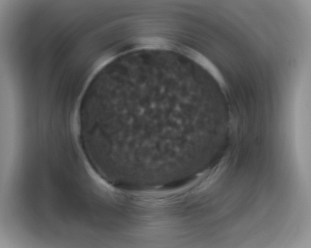 X0000113941095200910021257