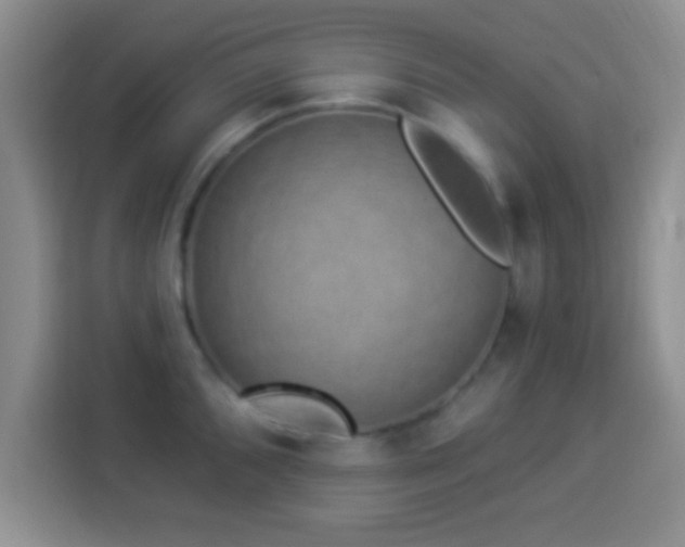 X0000113941096200910021257