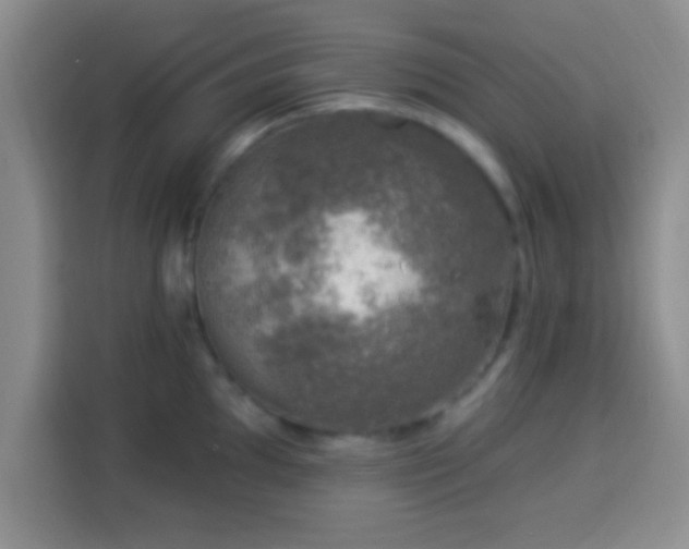 X0000113941097200910021257