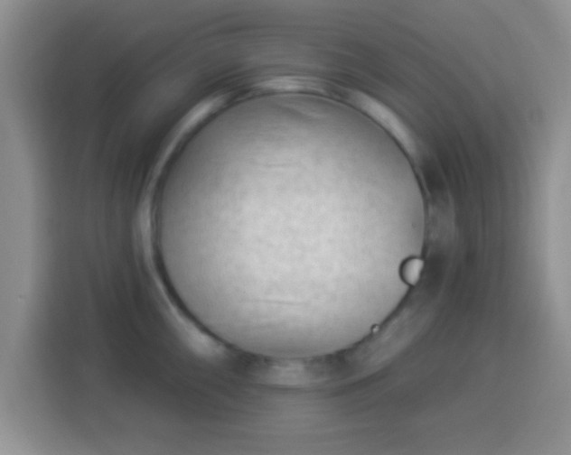 X0000113941098200910021257