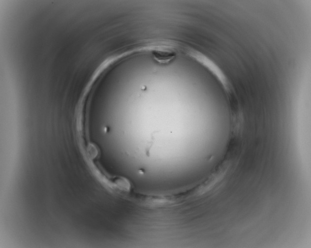 X0000113941099200910021257