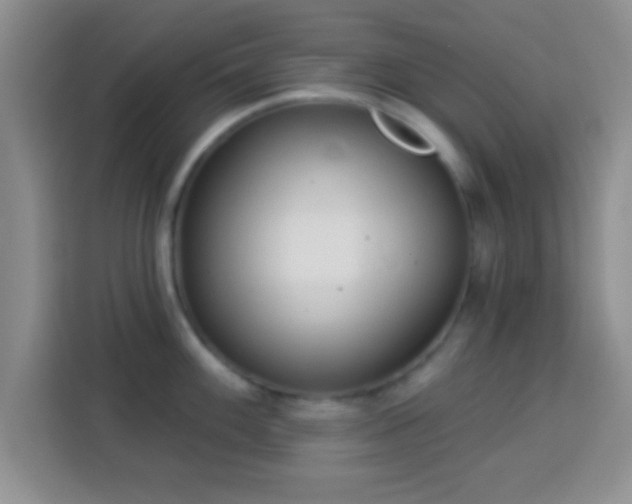 X0000113941100200910021257