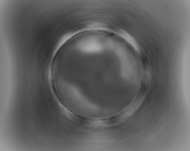 X0000113941101200910021257